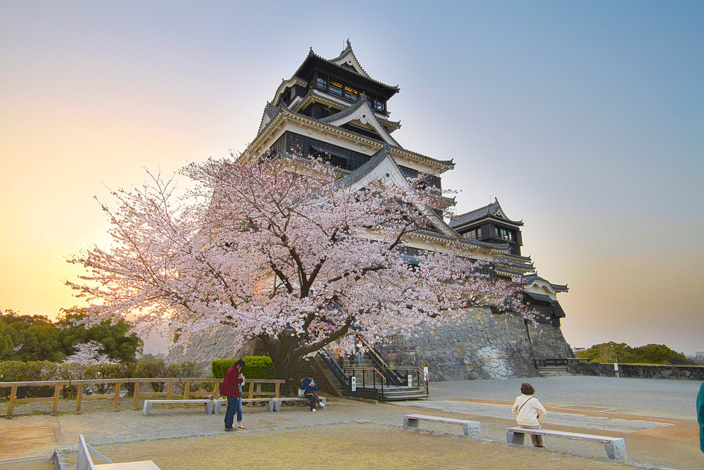 Lâu đài Osaka chìm đắm trong hoa anh đào
