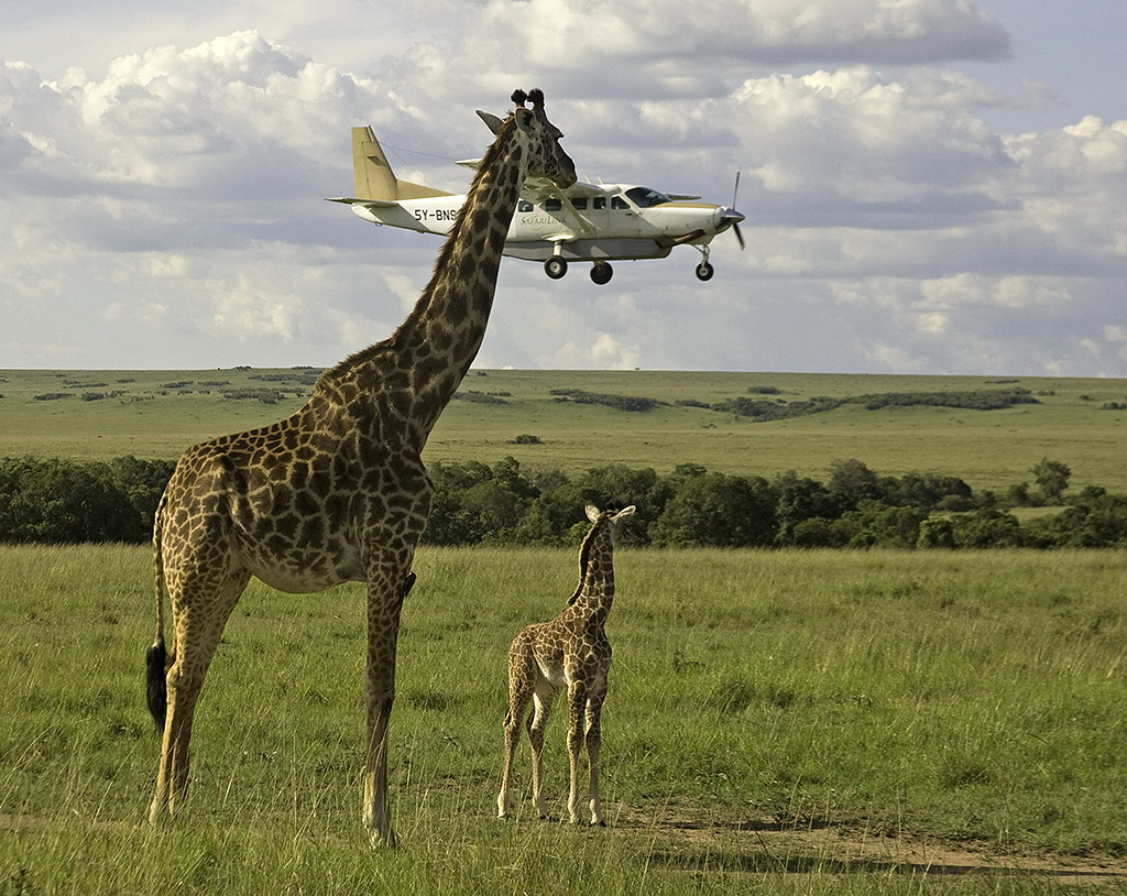 thiên nhiên kỳ thú tại Kenya - HanoiRedtours