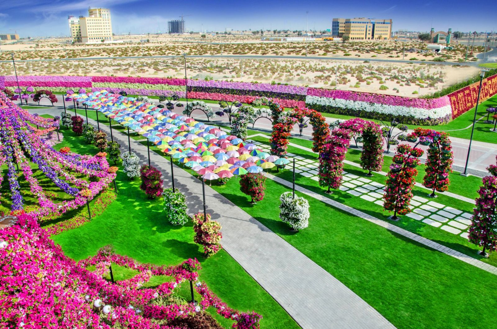 Các loài hoa đua nhau khoe sắc ở Dubai