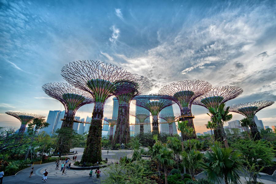 Khám phá khu vườn độc đáo nhất Singapore - Gardens by the Bay trong mùa hè 