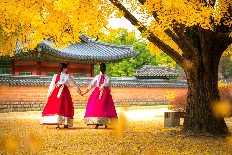 Hành trình Du lịch Hàn Quốc (Đặc biệt): SEOUL - BUSAN TAU 6N5Đ