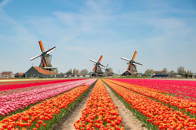 Lễ hội hoa Keukenhof - Hành trình vàng Pháp - Hà Lan - Bỉ - Đức - Thụy Sĩ dịp lễ 30/04